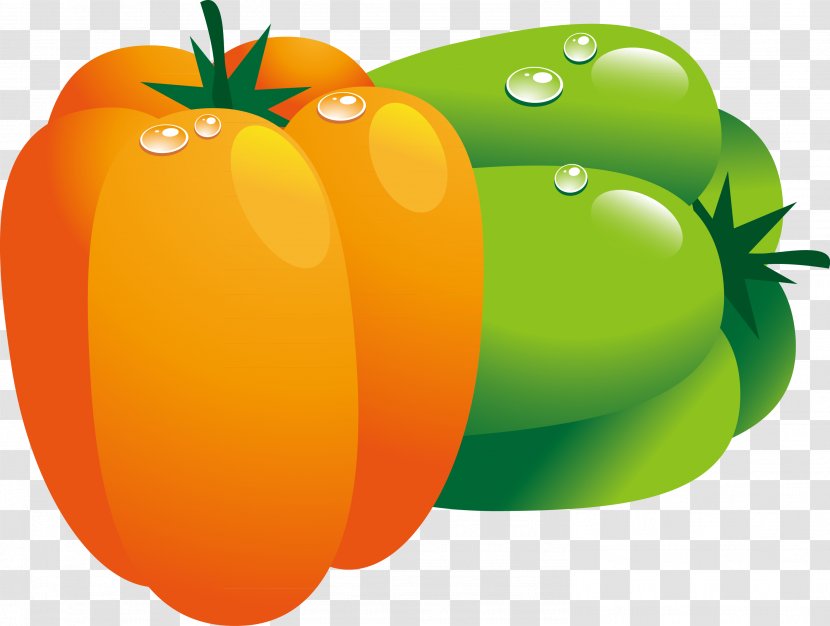 Tomato Bell Pepper Vegetable Chili - Capsicum Annuum - Red Green Pumpkin Hand Painted Vector Transparent PNG