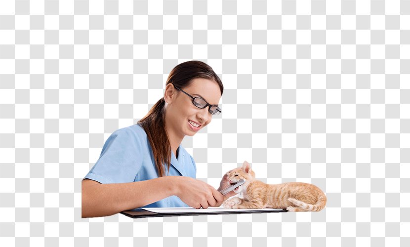 Cat Physician Pet - Watercolor - Beauty Doctor Transparent PNG