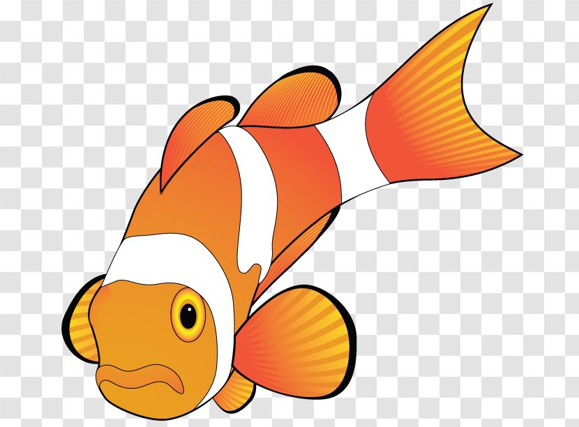 Fish Clip Art - Organism - Orange Transparent PNG