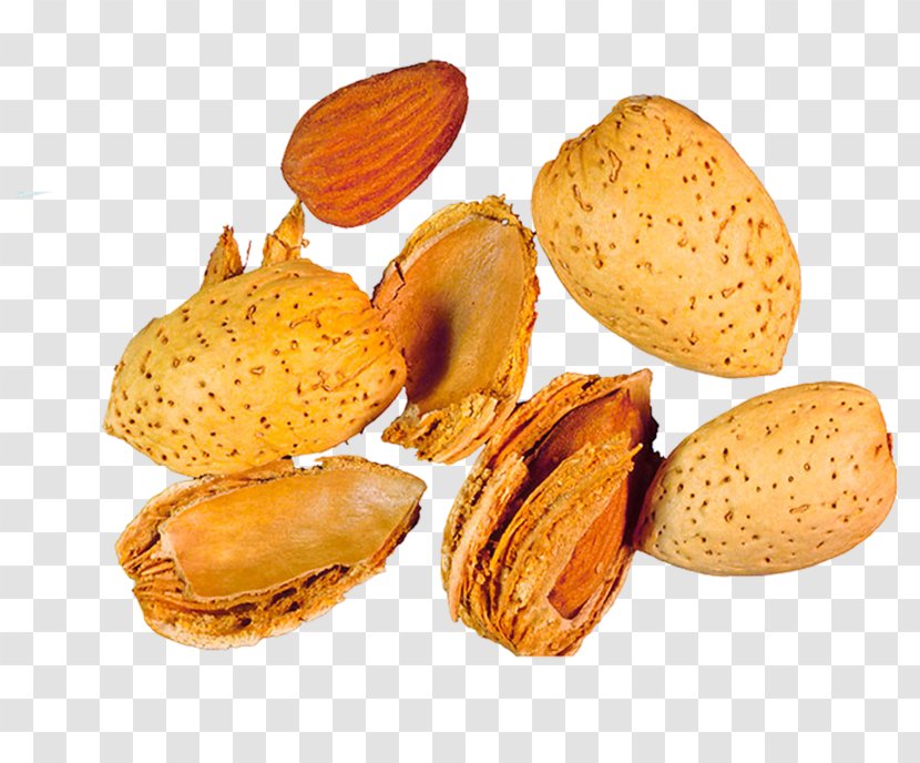 Fruit Salad Nut Dried Learning - Nuts Seeds - Almond Transparent PNG