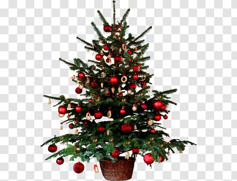 Christmas Decoration Tree Animation - Pine Transparent PNG