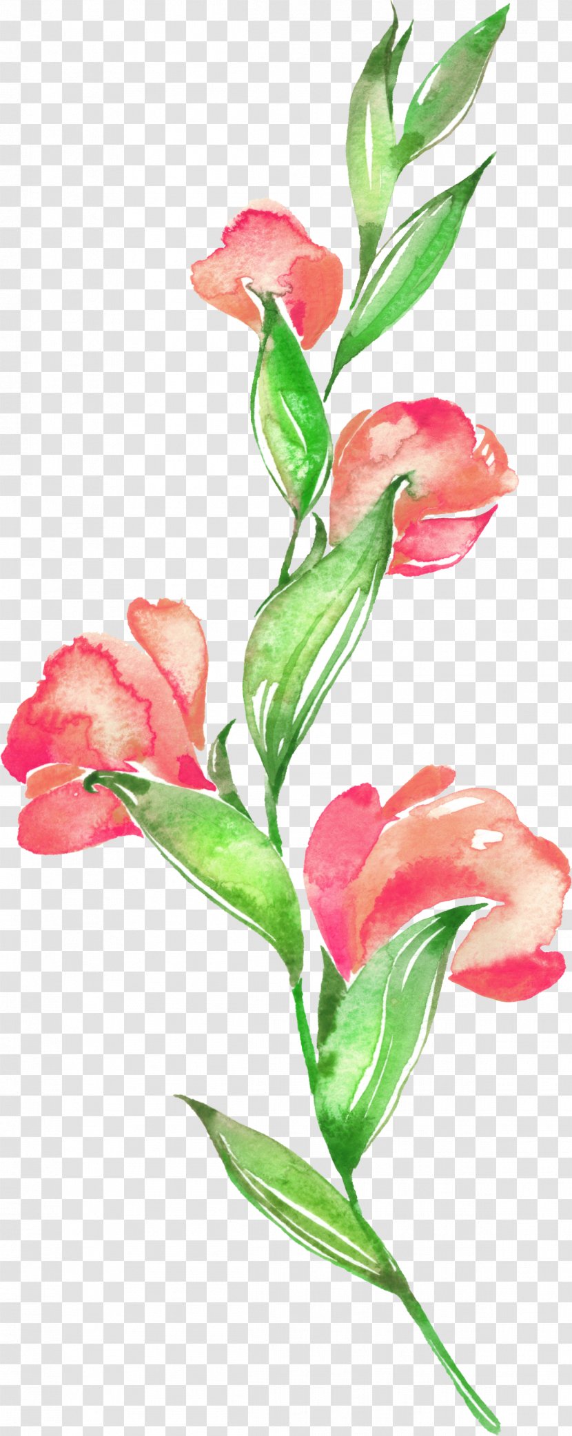 Floral Design Flower Watercolor Painting - Material Background Transparent PNG