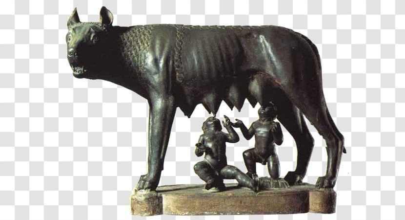 Capitoline Wolf Ancient Rome Museums Etruscan Civilization Gray - Mythology - Remus Transparent PNG