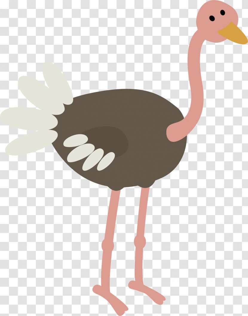 Common Ostrich Bird Animal Illustration - Water - Gray Vector Transparent PNG