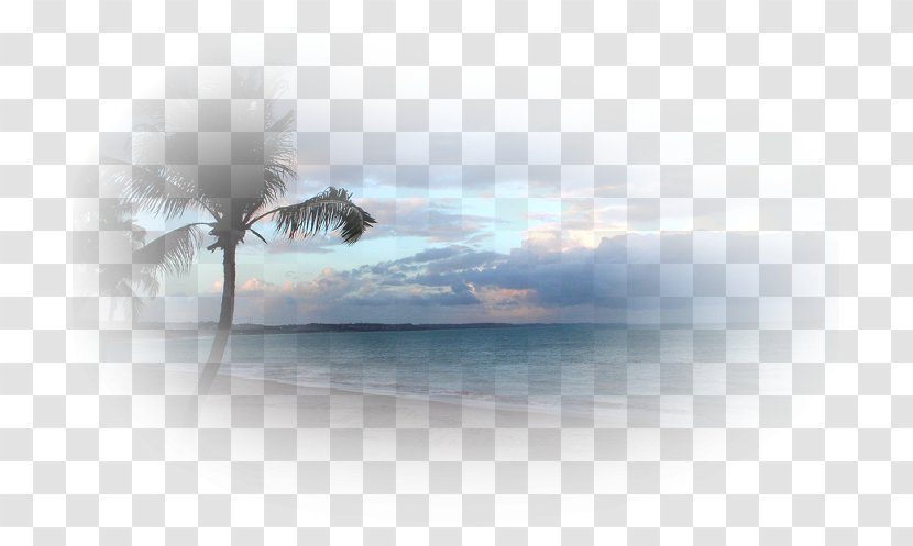 Desktop Wallpaper Beach Sea - Energy - 2014 Transparent PNG