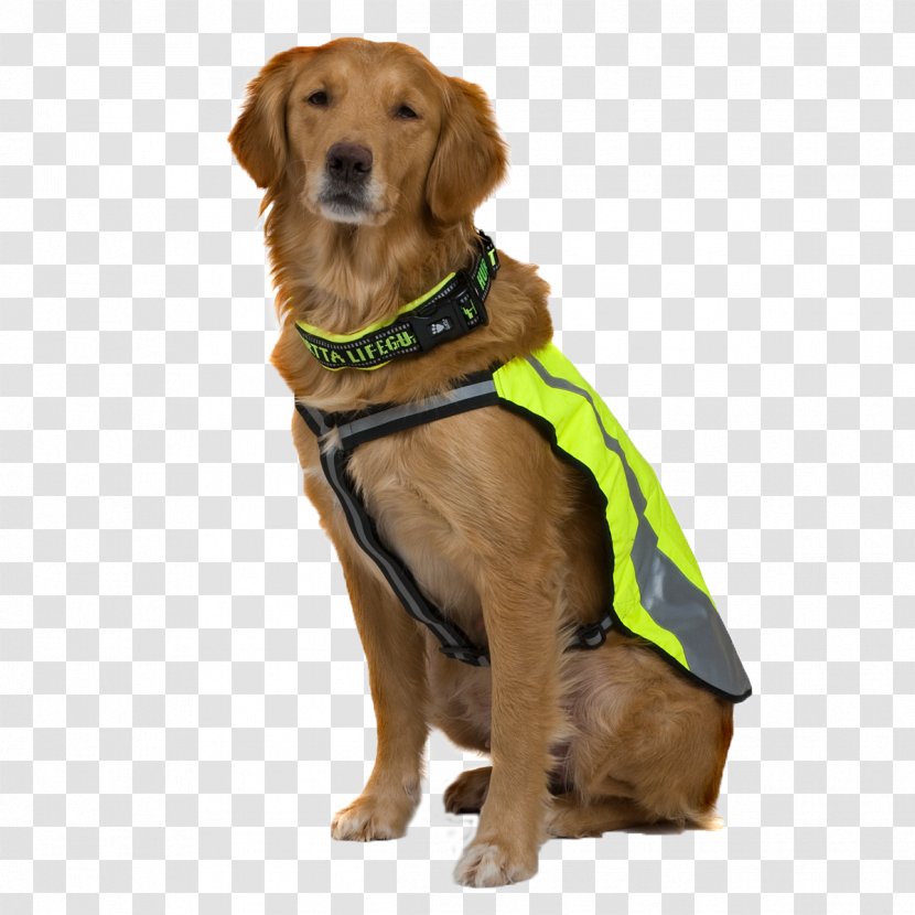 Dog Breed Puppy Leash Collar - Behavior Transparent PNG