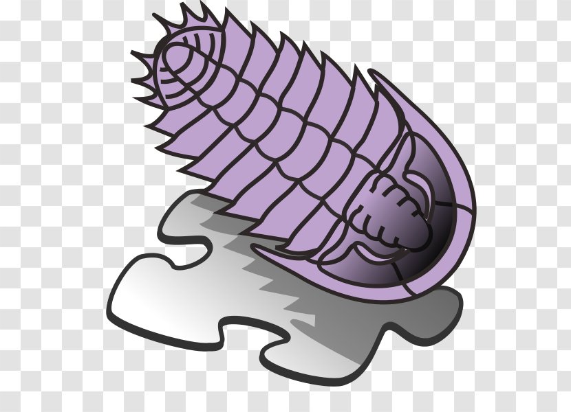 Trilobite Art Clip - Cartoon - B-boy Template Download Transparent PNG