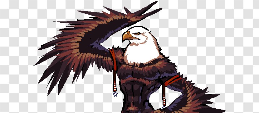Eagle Fauna Feather Beak - Wildlife - 4th Of July Transparent PNG