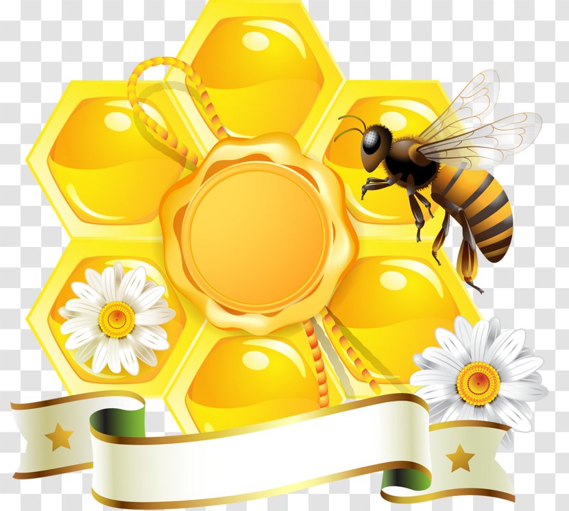 Honey Bee Honeycomb Beehive - Apiary - Yellow Transparent PNG