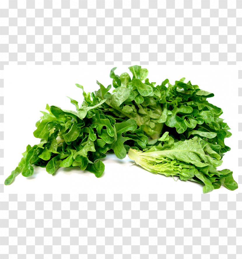 Romaine Lettuce Spinach Leaf Butterhead Vegetable - Salad Transparent PNG