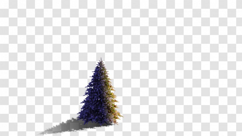 Christmas Ornament Tree Spruce Meter - Conifer - Slider Transparent PNG