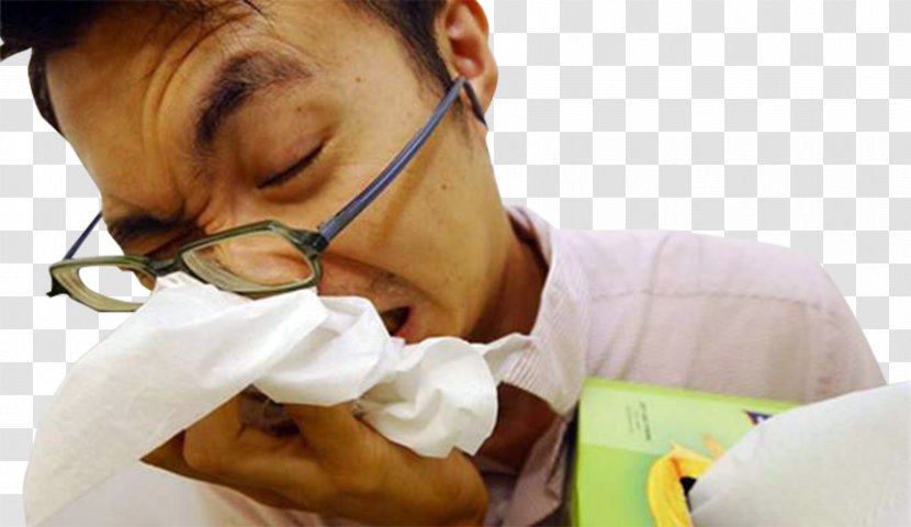Nose Rhinitis Caccola Sinusitis Common Cold - Chronic Condition - Cover Your Picture Transparent PNG