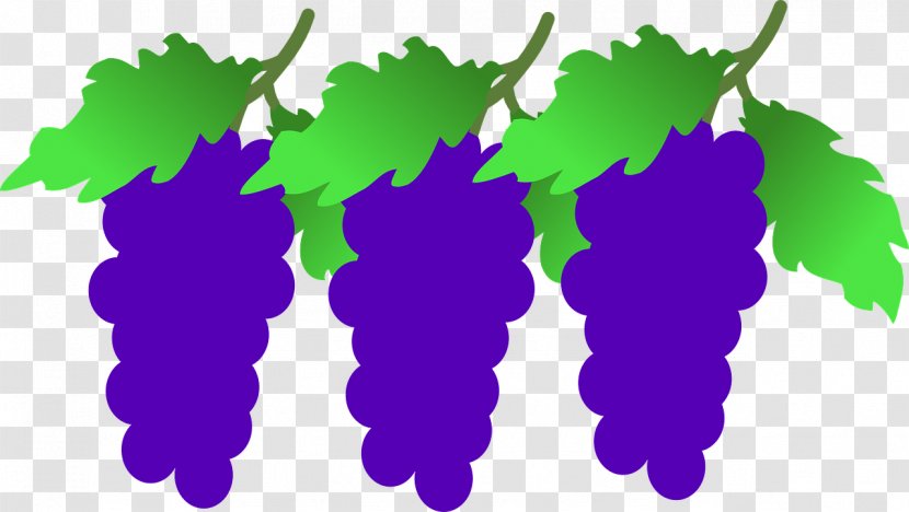 Grapevines Wine Clip Art - Grape Transparent PNG