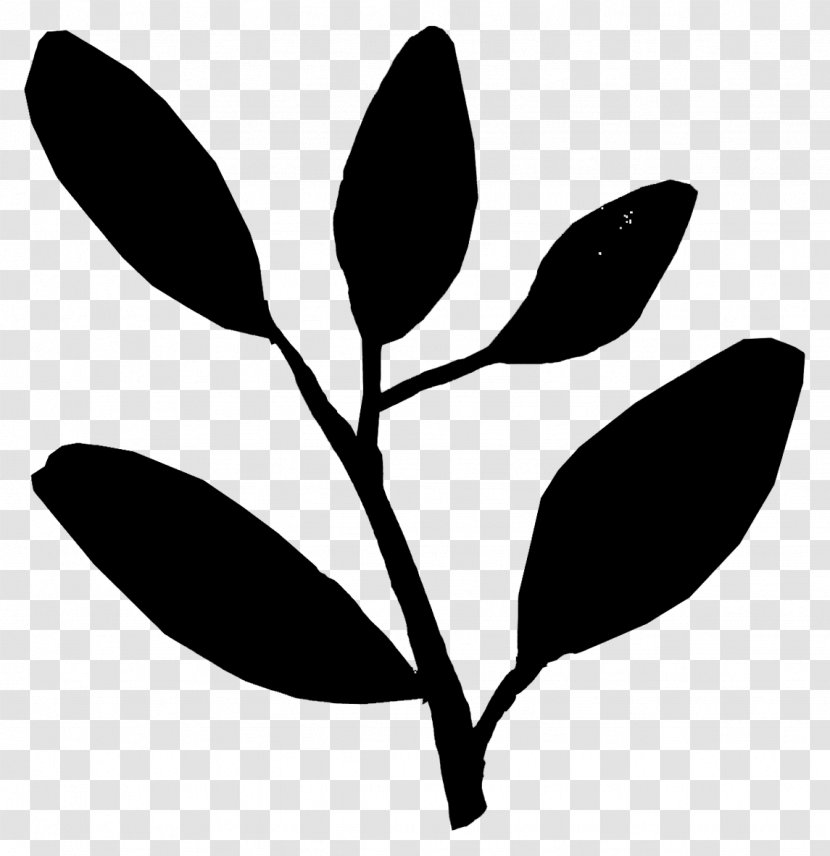 Twig Black & White - Plants - M Plant Stem Leaf Flower Transparent PNG