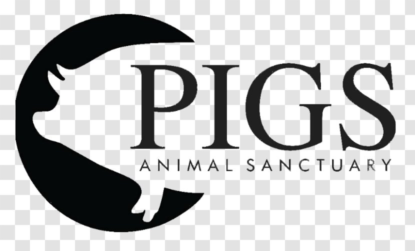 Pig Logo Animal Sanctuary Brand - Trademark Transparent PNG