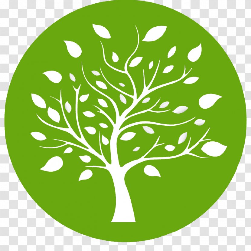 Value Tree Av S.A Investment Fund Price Finance - Circular Trees Transparent PNG