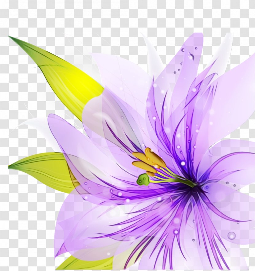 Floral Design Lily Flower Rose - Crocus Transparent PNG