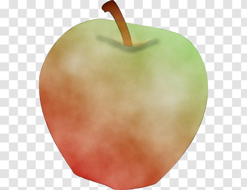 Family Tree - Rose Order - Granny Smith Mcintosh Transparent PNG