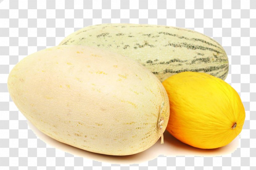Honeydew Cantaloupe Galia Melon Hami - Gourd - Different Varieties Of Transparent PNG