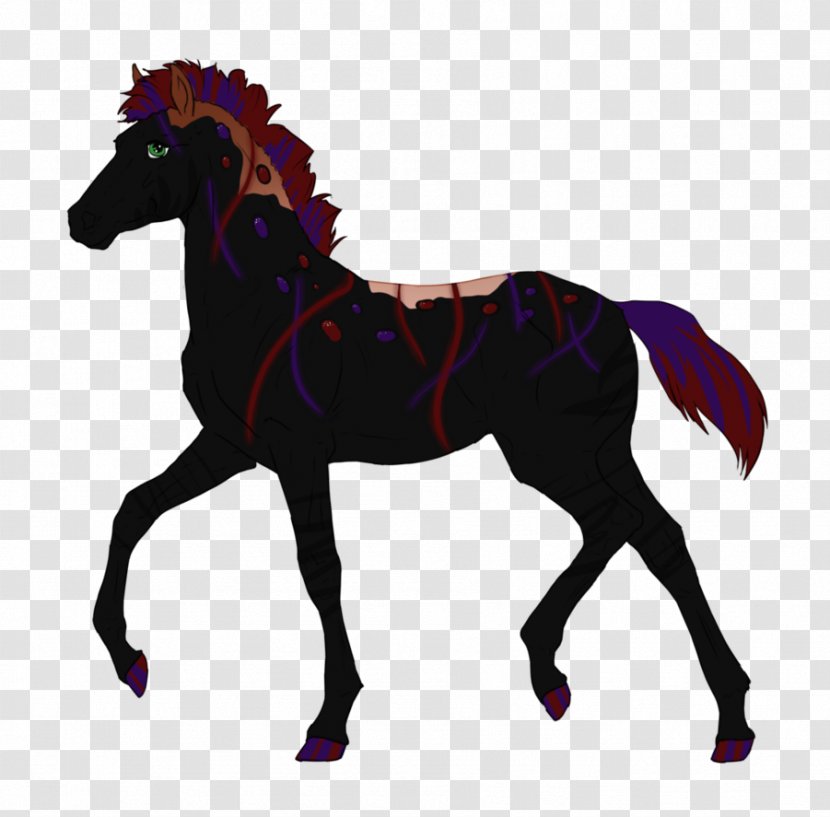 Mustang Foal Pony Mare Stallion - Canter And Gallop Transparent PNG