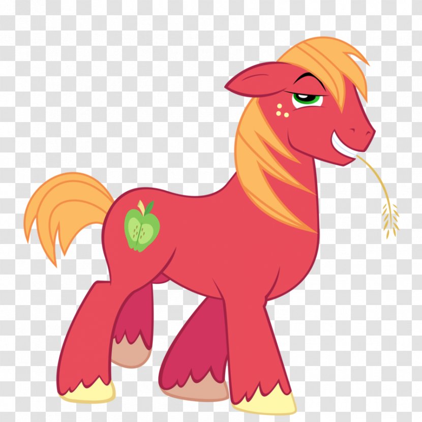 Big McIntosh Applejack Pony Rarity Rainbow Dash - Twilight Sparkle - My Little Transparent PNG