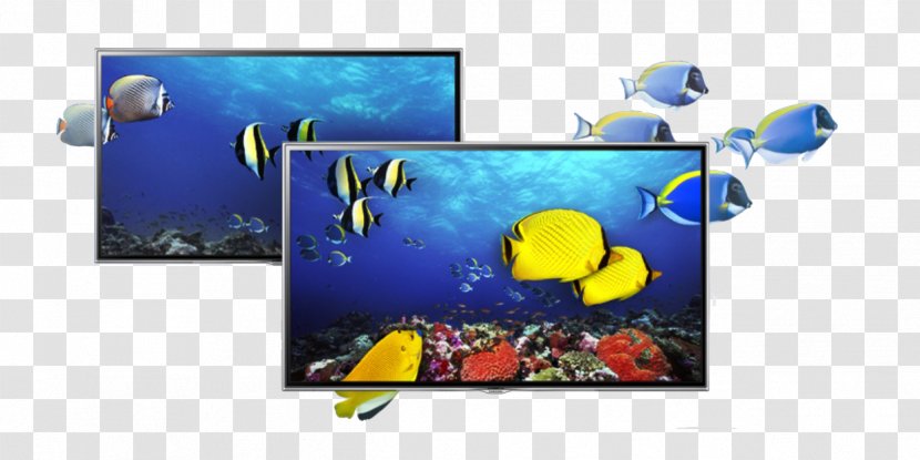 Blu-ray Disc LED-backlit LCD 1080p Samsung Smart TV - Yellow Transparent PNG