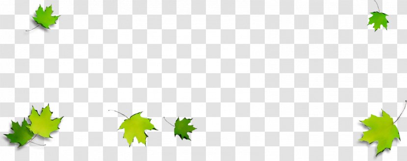Illustration Graphics Green Leaf Desktop Wallpaper - Computer - Plant Stem Transparent PNG