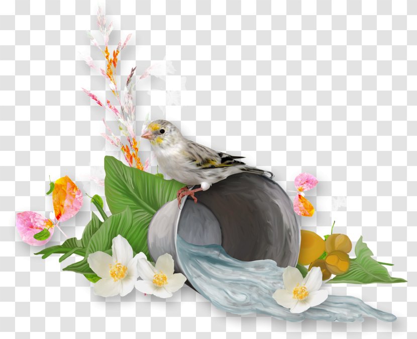 Floral Plant - Cockatiel - Songbird Transparent PNG