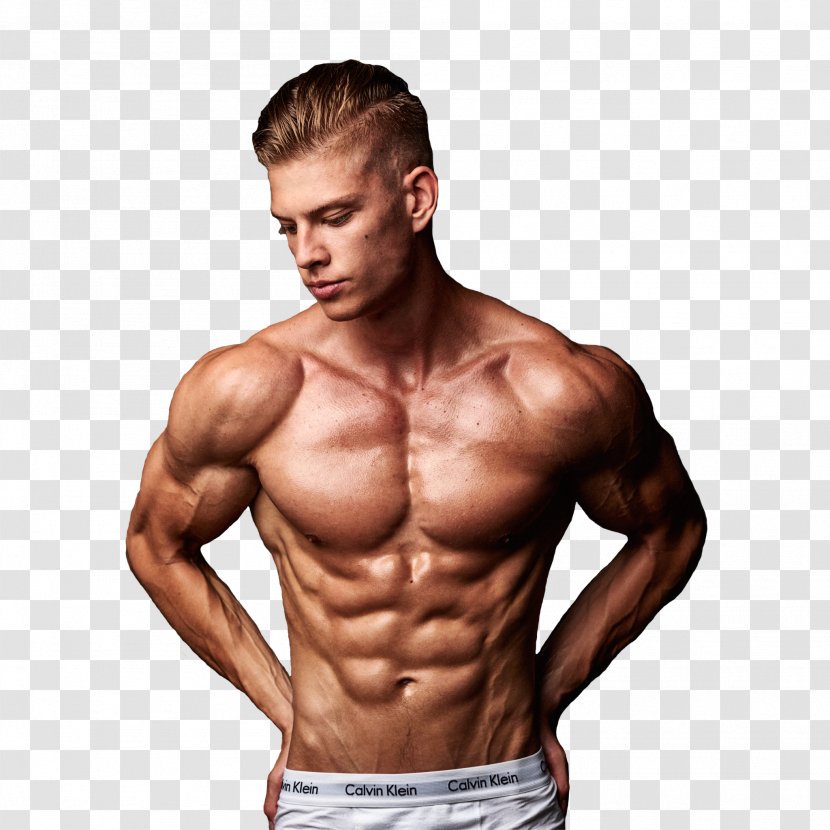 Muscle Bodybuilding YouTube Aesthetics The Weekend Movie - Cartoon Transparent PNG
