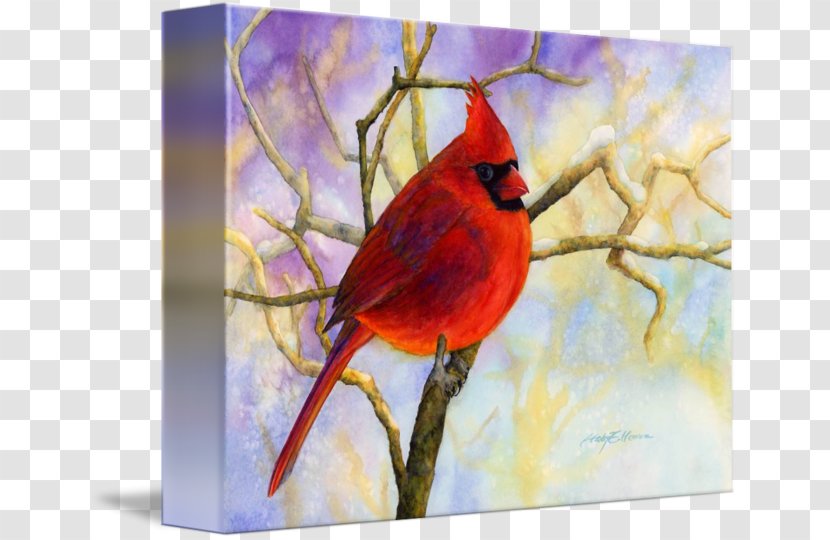 Watercolor Painting Acrylic Paint Resin - Beak - Northern Cardinal Transparent PNG