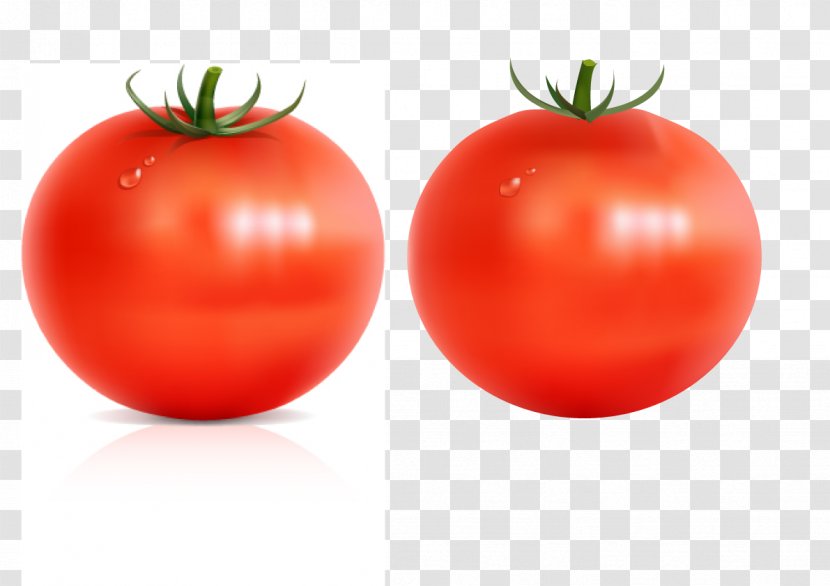 Food Vegetable Fruit Plum Tomato - Local - Illustrator Brushes Transparent PNG