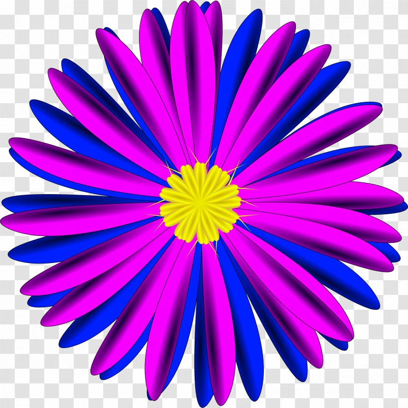 Blue Flower Pink Clip Art - Common Daisy Transparent PNG