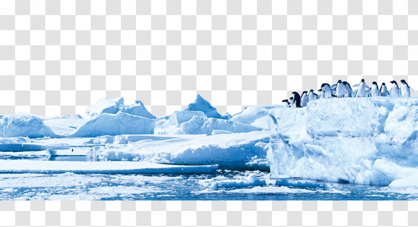 Penguin Antarctica Glacier Iceberg - Ice Cap Transparent PNG