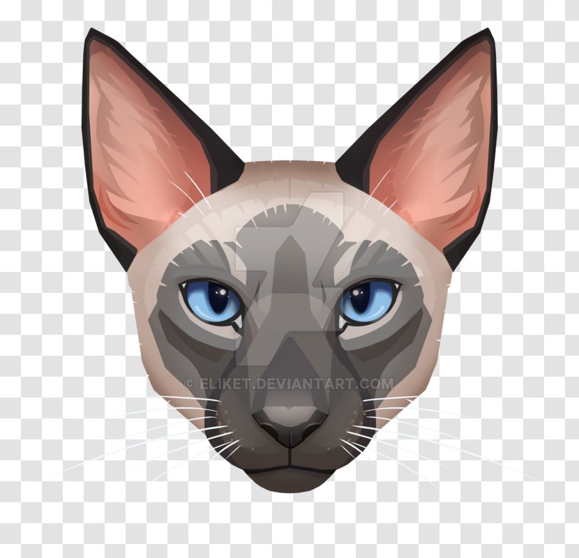 Cat T-shirt Whiskers Digital Art Leopard - Snout Transparent PNG