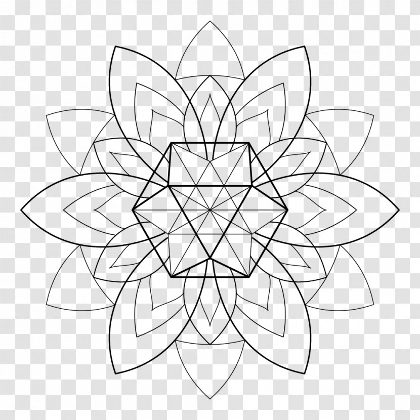 Floral Design Drawing Monochrome White Symmetry Transparent PNG