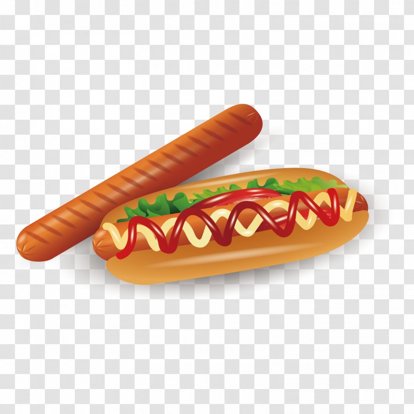 Hot Dog Sausage Bratwurst Frankfurter Wxfcrstchen Bockwurst - Vector Gut Transparent PNG