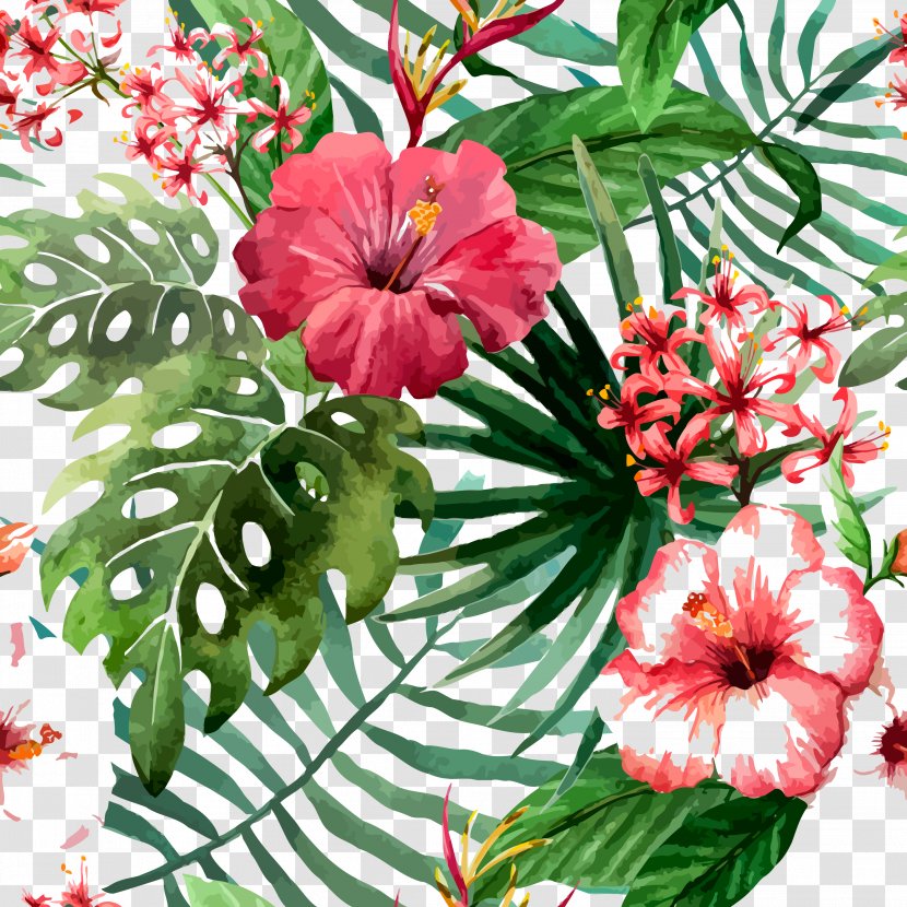 Flower Drawing Tropics Stock Photography - Floristry - Hand Painted,flower,poster Transparent PNG