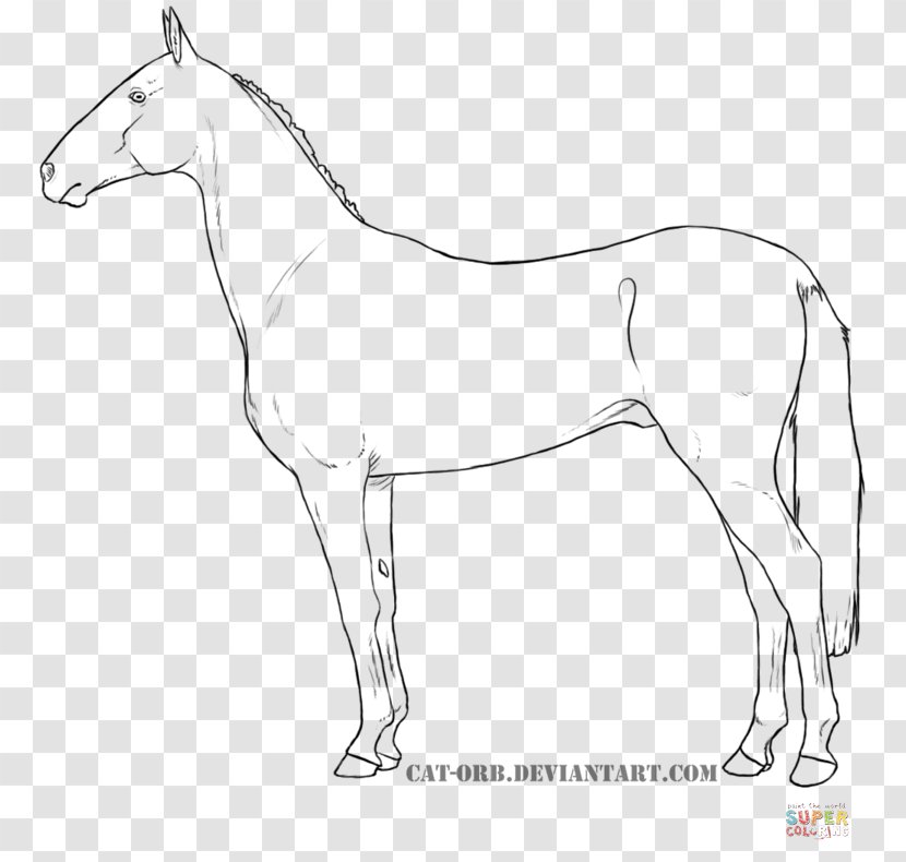 Mule Dutch Warmblood Oldenburg Horse Danish Mustang Transparent PNG