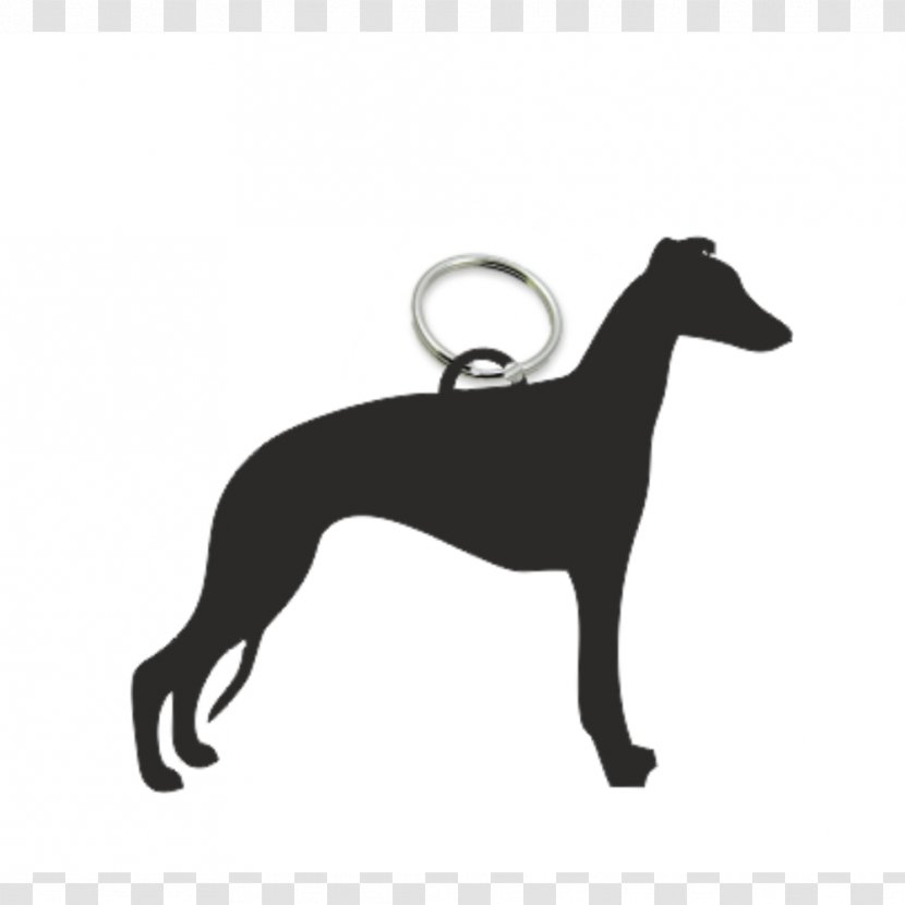 Whippet Italian Greyhound Shih Tzu Silhouette - Best In Show Transparent PNG