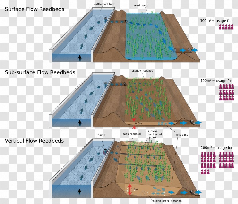 Sewage Treatment Waste Stabilization Pond Wastewater Biologinen Vedenpuhdistus Reed Bed - Water Transparent PNG