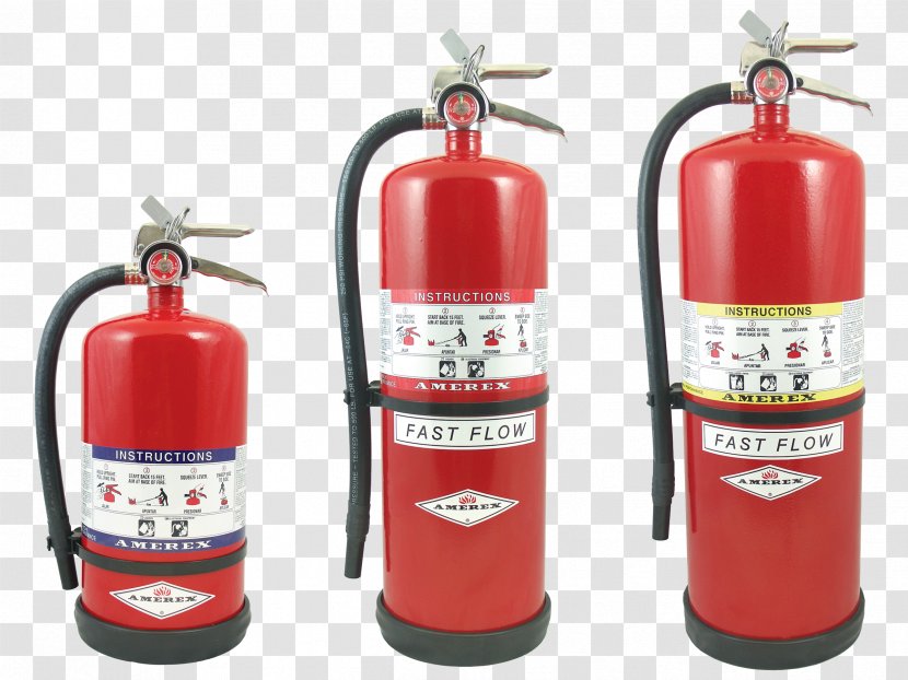 Amerex Fire Extinguishers ABC Dry Chemical Fast Flow - Sprinkler System Transparent PNG