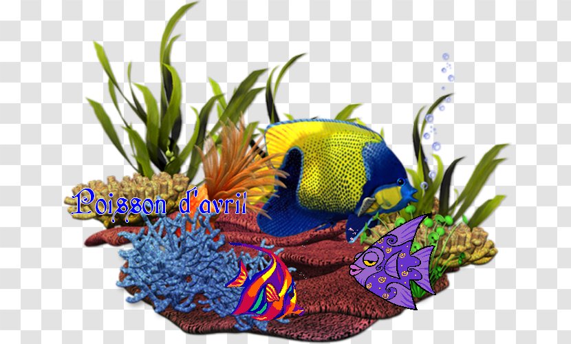 Sea Coral Reef Fish Clip Art - Drawing Transparent PNG