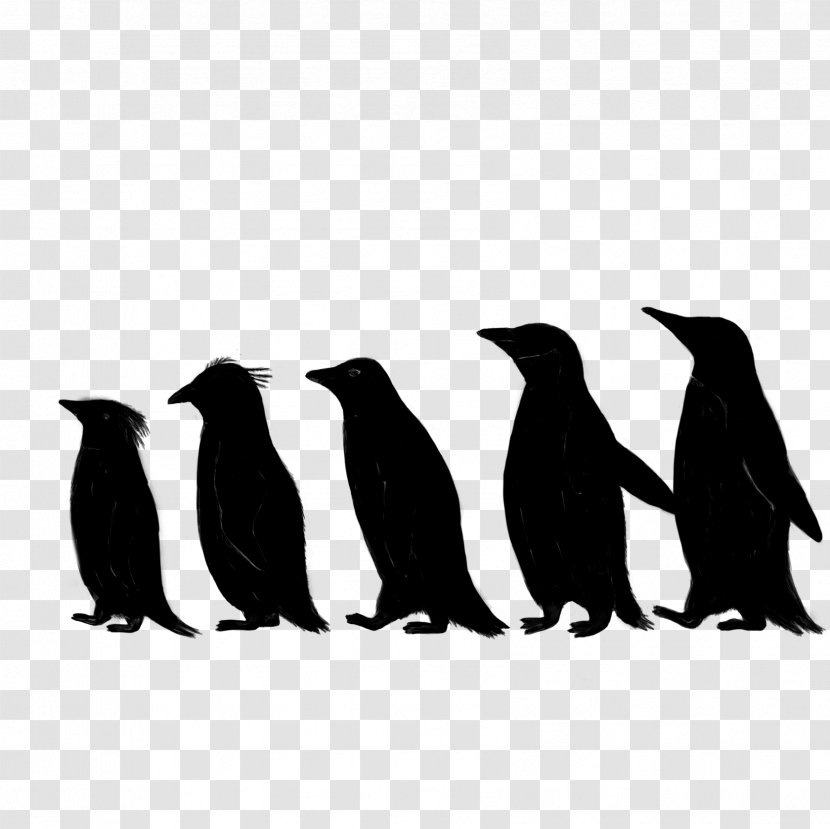 Penguin Fauna Silhouette Beak Transparent PNG