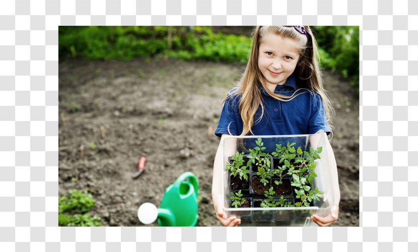 Gardening Child Container Garden Tool - Room - Organic Trash Transparent PNG