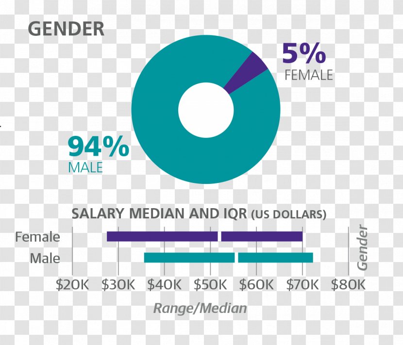 Salary Survey Job Wage Income - Statistics - Gender And Development Transparent PNG