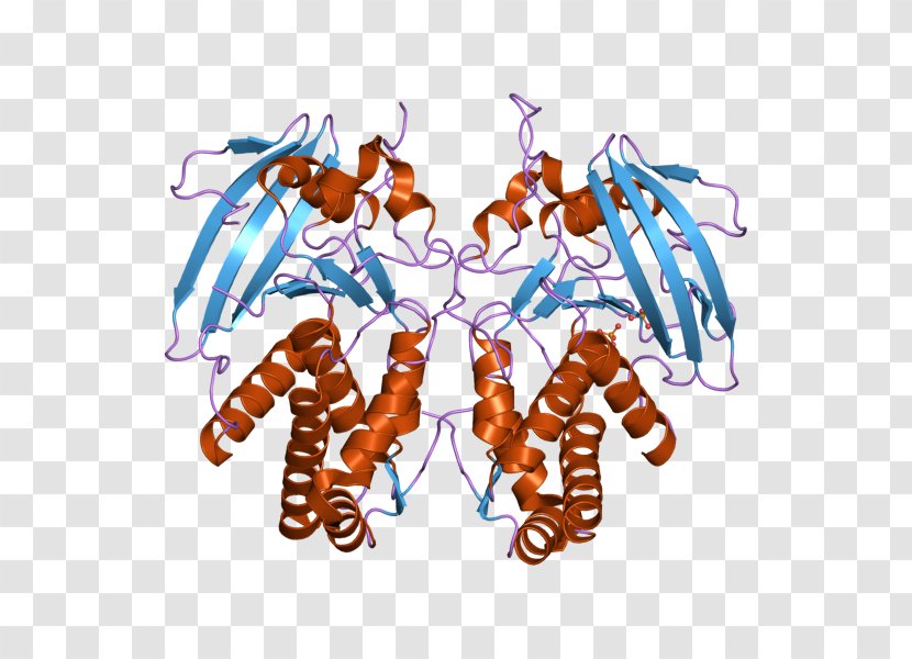 Tyrosine Protein Phosphatase Decapoda Gene - Tree - Silhouette Transparent PNG