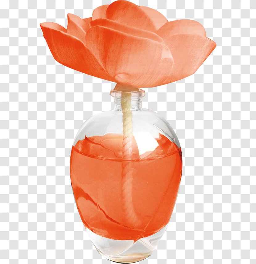 Vase - Orange Transparent PNG