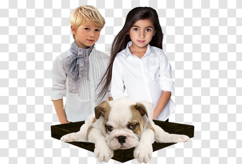 Dog Breed Puppy Child Companion Transparent PNG