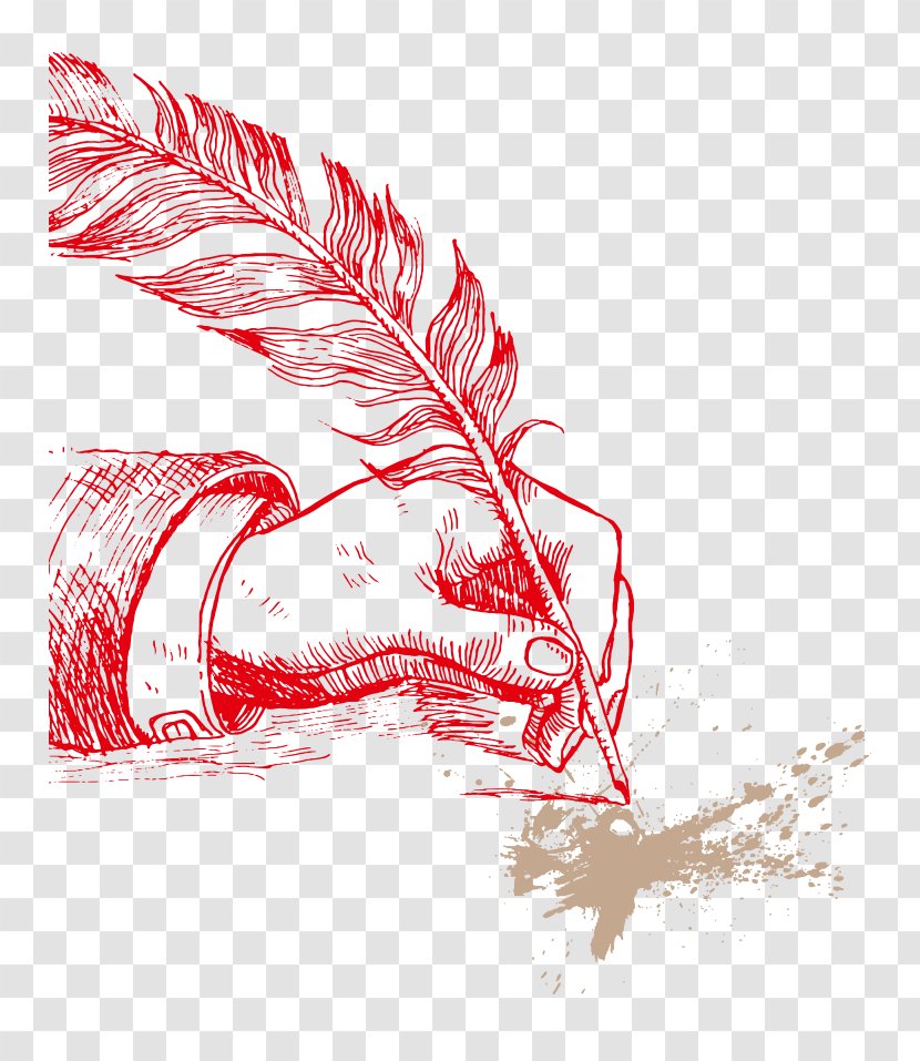 Beak Drawing Bird - Feather Transparent PNG