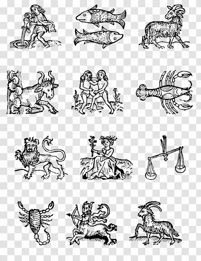 Astrological Sign Zodiac Aquarius Symbol - Signs Transparent PNG